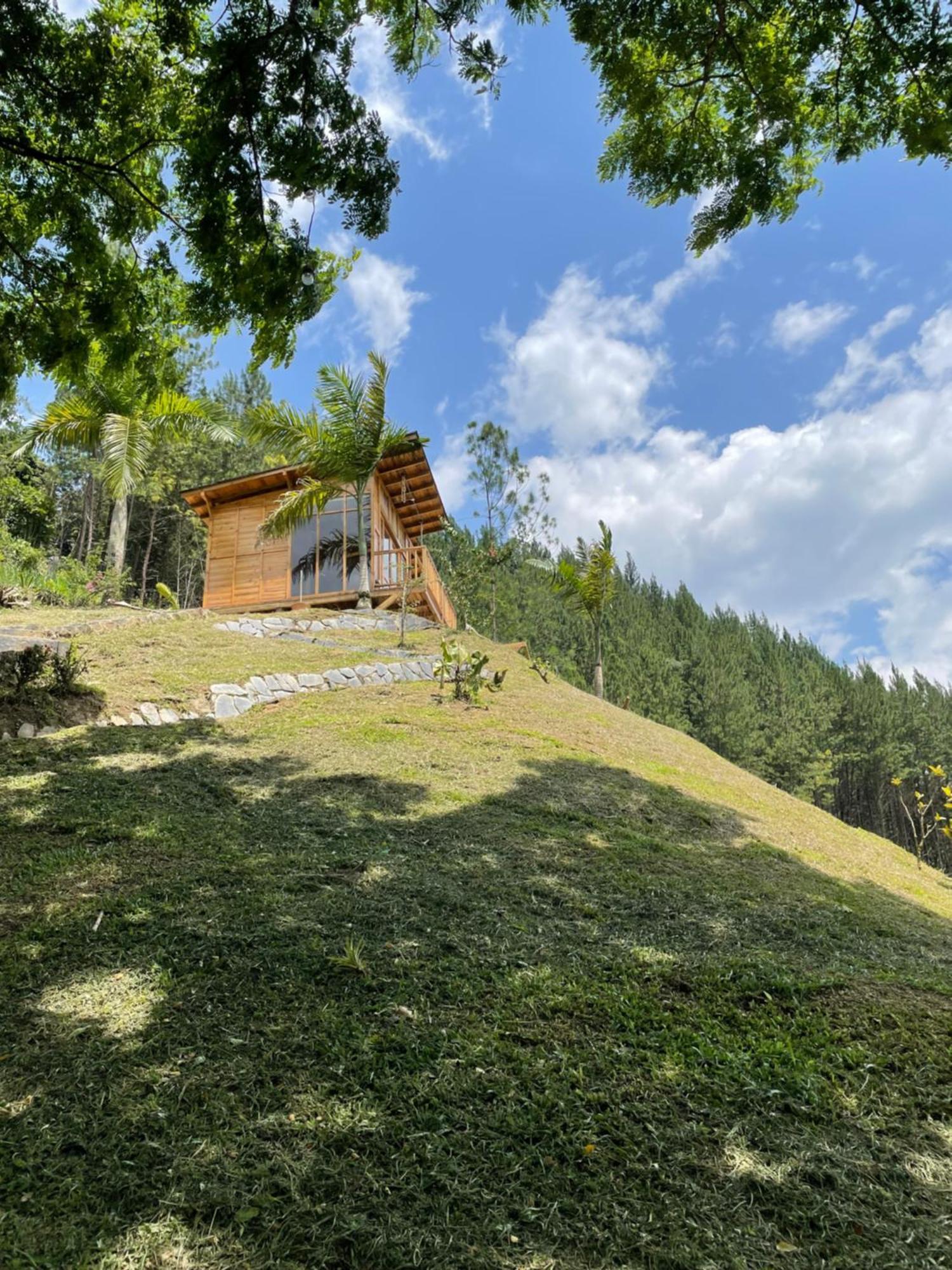 Home Boutique Natural Paradise La Vega  Exteriör bild